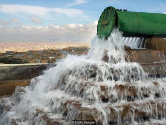 Australian government to release herpes virus into waterways by 2019