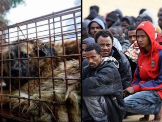 Italians left horrified after migrants barbecue local pet dogs