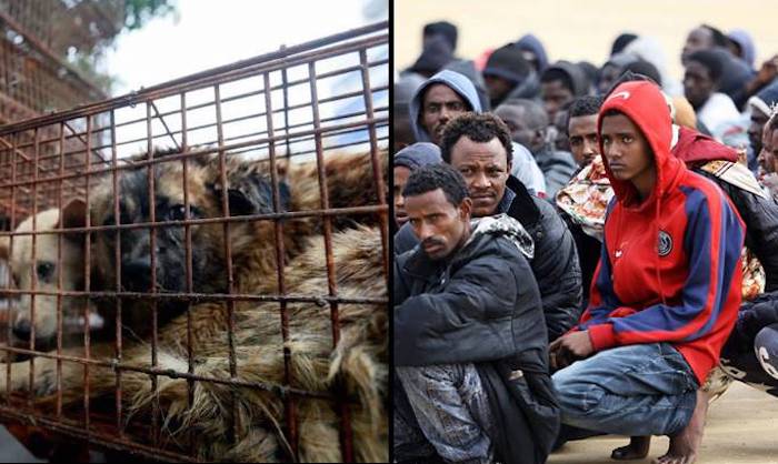 Italians left horrified after migrants barbecue local pet dogs