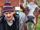 An 80-year-old man has been banned from every farm in Britain after being found guilty of outraging public decency by molesting cows.