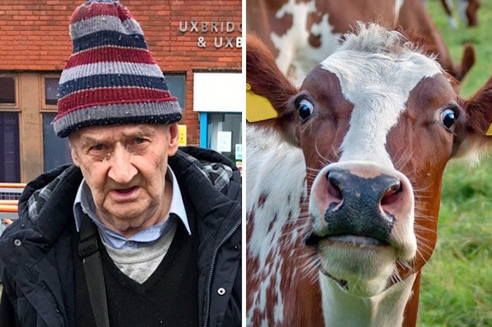 An 80-year-old man has been banned from every farm in Britain after being found guilty of outraging public decency by molesting cows.