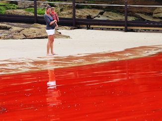 Reports of rivers turning red all over the world have shocked Biblical scholars who say it is a sign we have reached the end times.