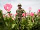 CIA caught smuggling more heroin via Afghanistan to fund proxy wars around the world