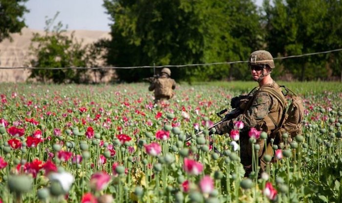 The CIA is the world's biggest drug trafficking organization