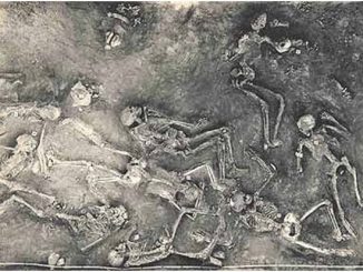 New York Times article describes discovery of giant skeleton remains