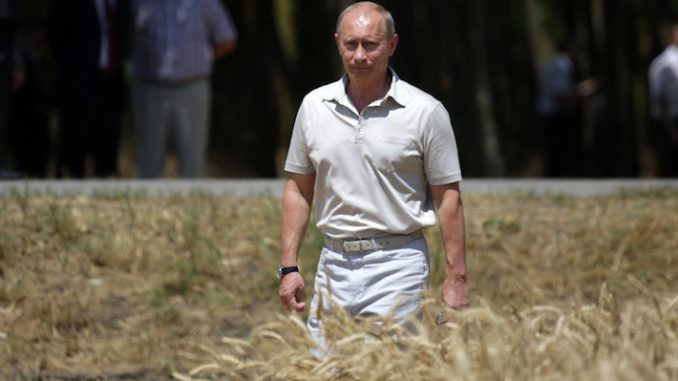 Putin promises to feed half the world with non-GMO organic food grown in Russia