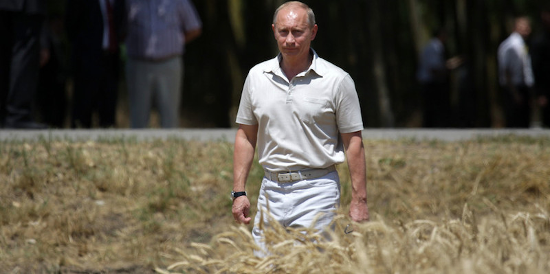 Putin promises to feed half the world with non-GMO organic food grown in Russia