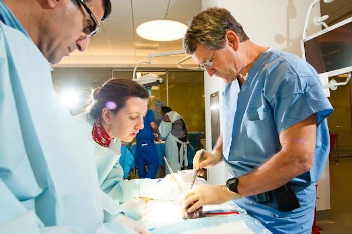 Less heart attack patients die when cardiologists are away, study finds