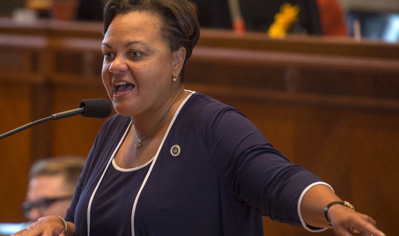 Democrat leader vows to repeal Second Amendment