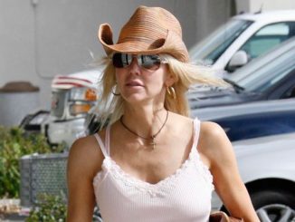 Actress Heather Locklear arrested for asserting her Second Amendment rights