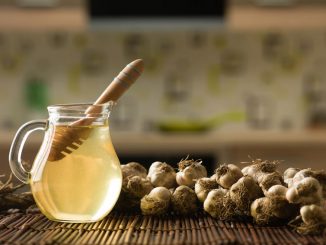17 natural antibiotics used by our grandparents