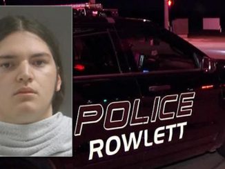 Armed Texan stops would be school shooter