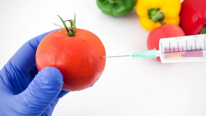 Study confirms GMO DNA is absorbed by humans