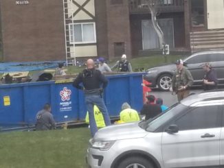 ICE officials arrest 8 connected to pedophile ring