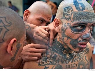 MS-13, the notorious street gang dubbed "the world's most feared" is allegedly sacrificing underage American girls in "Satanic rituals".