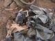 Syrian army discover US-rebel chemical weapons factory in Syria