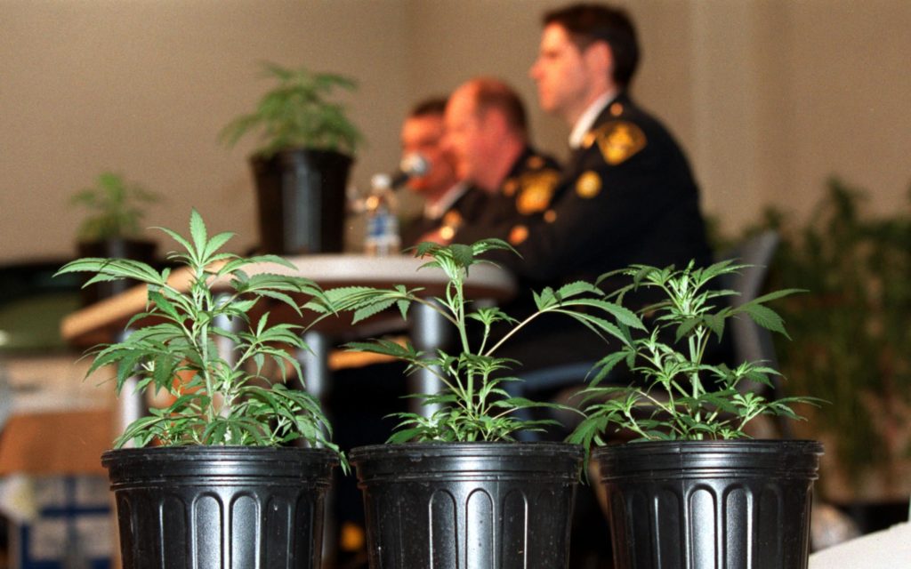 Federal court rules CBD has no medical value