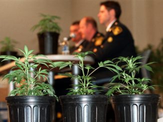 Federal court rules CBD has no medical value