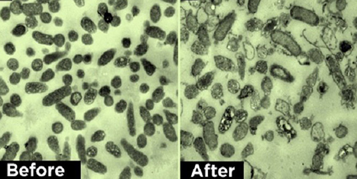 Cancer cells commit suicide after exposure to THC, study finds