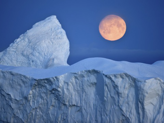 Global average temperatures have dropped by more than half a degree Celsius since President Trump took office and removed the United States from the Paris Global Climate Accord.