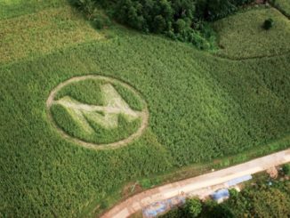 Monsanto is killing our children, not feeding the world