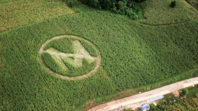 Monsanto is killing our children, not feeding the world