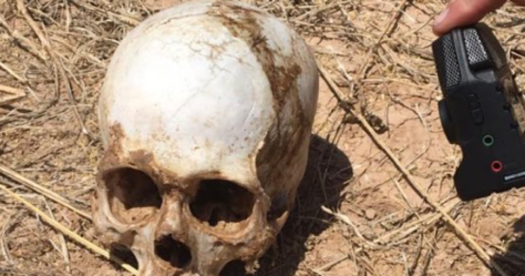 Child's skull found at Tuscon child sex trafficking camp