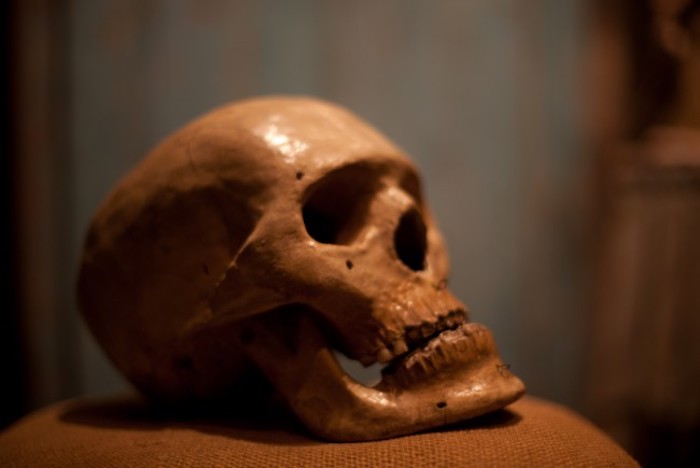 Study shows that 90 percent of animals appeared on Earth at same time