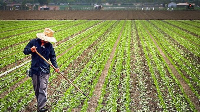 California farmer sent to jail for daring to register a rifle