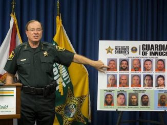 Police bust Disney World and Legoland pedophile ring