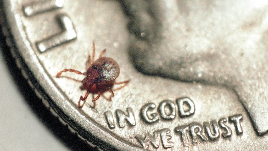 GMO tick invades USA, spreading diseases