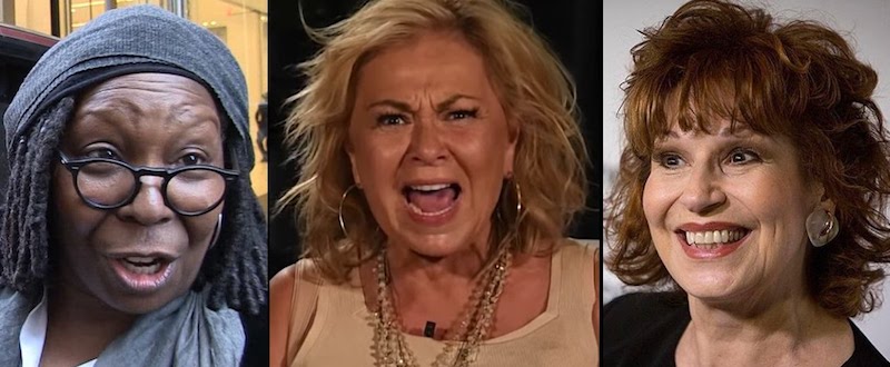 Roseanne Barr humiliated Whoopi Goldberg and Joy Behar after they tried to defend a Hollywood director who posted pedophilia related content.