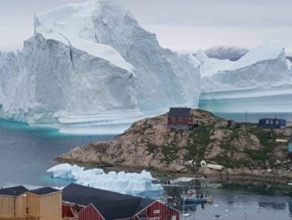 Tsunami warning issued in Greenland as giant iceberg alarms scientists