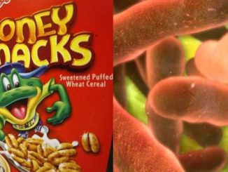 CDC issue salmonella warning for Kellogg's Honey Smacks cereal