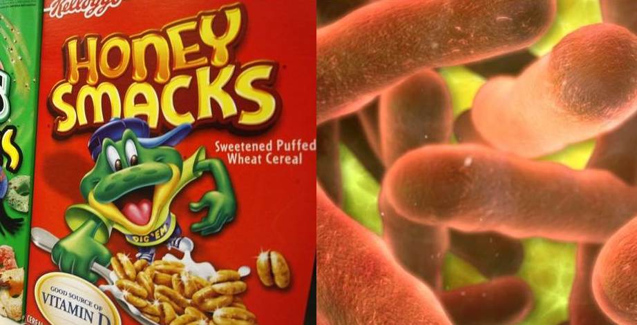 CDC issue salmonella warning for Kellogg's Honey Smacks cereal
