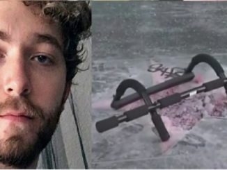 The liberal activist who destroyed President Donald Trump’s star on the Hollywood Walk of Fame has been charged with felony vandalism.