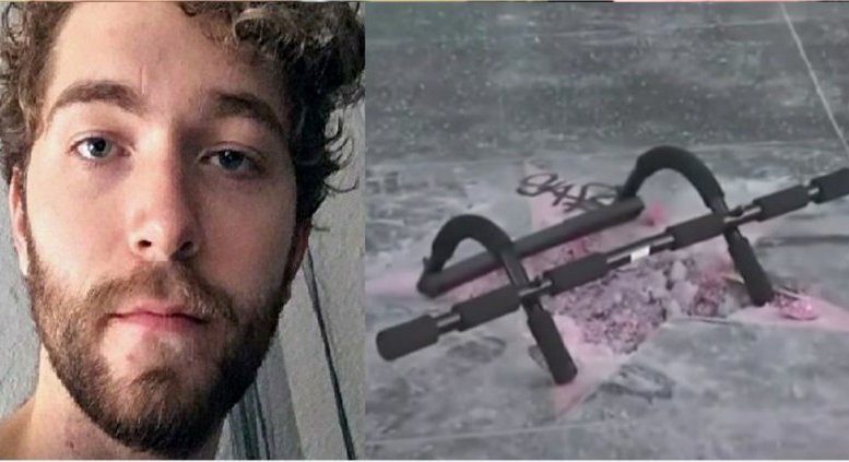 The liberal activist who destroyed President Donald Trump’s star on the Hollywood Walk of Fame has been charged with felony vandalism.