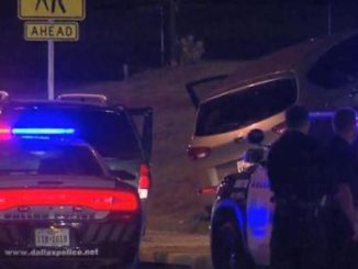 Mom shoots pedophile who tried to kidnap her two kids sitting in SUV