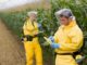 Former Monsanto employee reveals entire department exists to discredit scientsits on cancer dangers