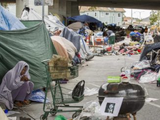 San Francisco's board of supervisors voted unanimously to ban plastic straws and single-use cutlery but remain tolerant of public defecation.