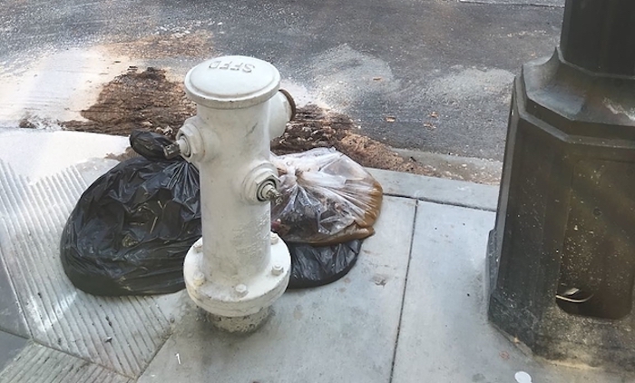 Businesses flee San Fransisco over third world conditions