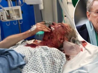 British Ambasaddor fights for his life after being attacked by anti-Trump activists