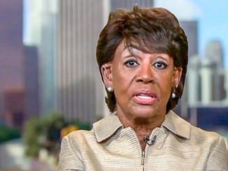 Maxine Waters told MSNBC that former President Barack Obama, not President Trump, deserves all the credit for the economic turnaround.