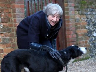 Eating dog meat is legal and on the rise in the UK and the British government has refused to ban the practice. 