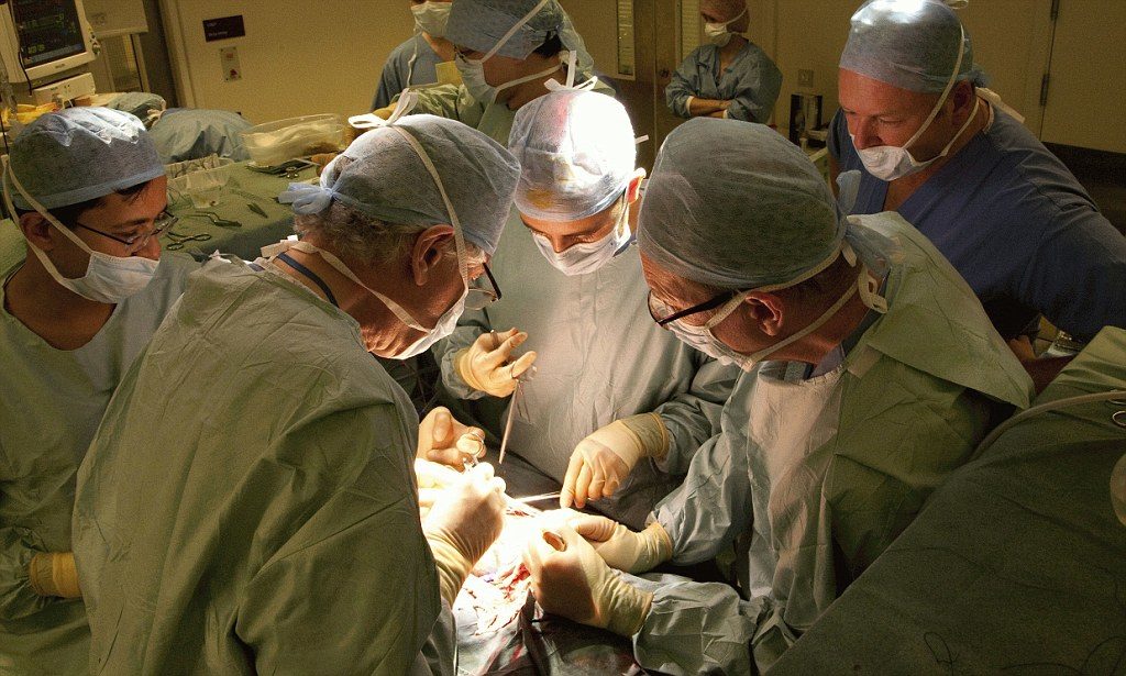 UK government make all citizens organ donors without their consent