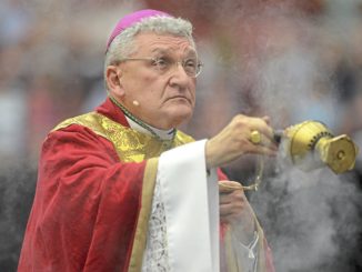 Senior Catholic Bishop blasts Vatican for protecting pedophile priests