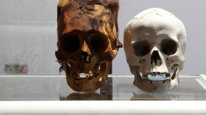 Over 500 scientists have raised questions about the accuracy of Darwinism, claiming the theory of evolution needs to be challenged further. 