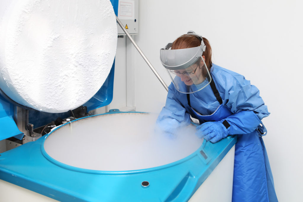 Wealthy elites have begun freezing their brains so they can brought back to life hundreds of years later