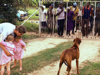 South Africa amends constitution to allow violent confiscation of farms from white farmers