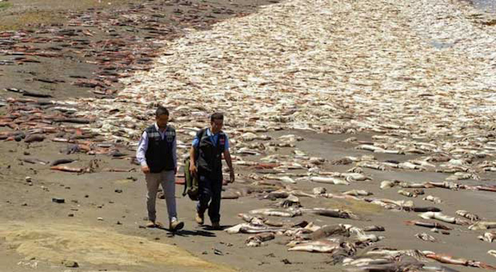 TEPCO warns hundreds of tons of Fukushima water is still radioactive